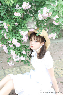 梅婷电视剧